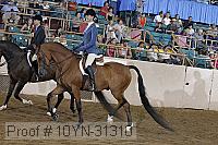 10yn-31310 thumbnail