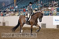10yn-31318 thumbnail