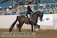 10yn-31323 thumbnail