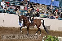 10yn-06589 thumbnail