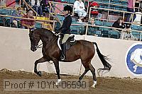 10yn-06590 thumbnail