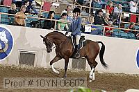 10yn-06602 thumbnail