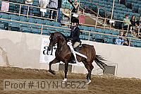 10yn-06622 thumbnail