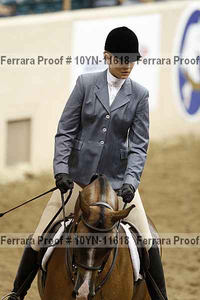 Proof Number 10yn-11618