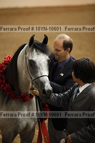 Proof Number 10yn-10601