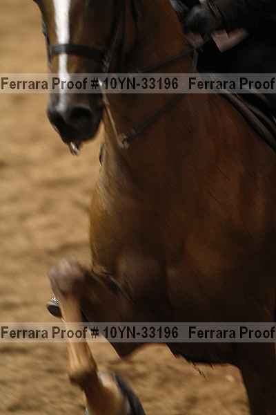 Proof Number 10yn-33196