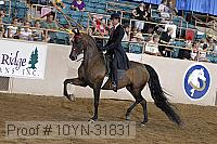 10yn-31831 thumbnail