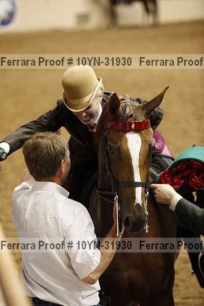 Proof Number 10yn-31930