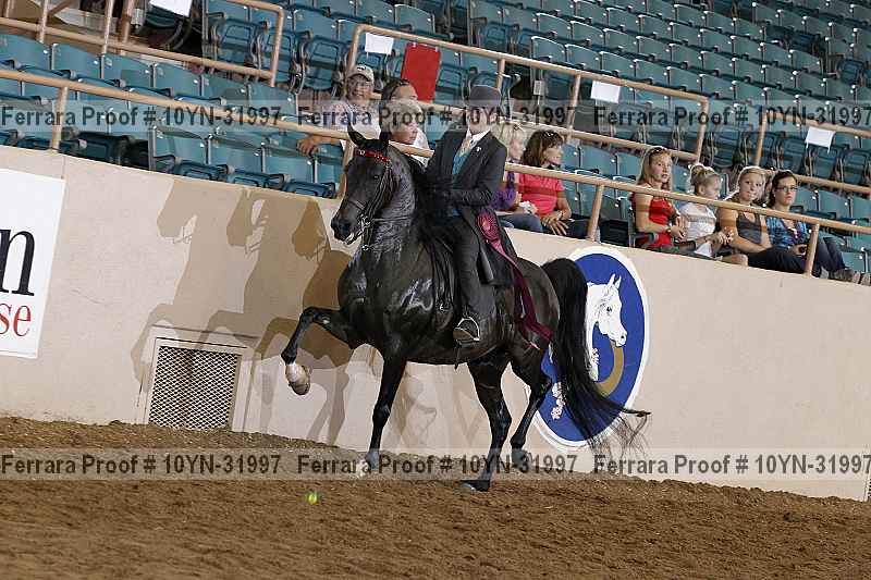 Proof Number 10yn-31997