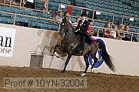 10yn-32004 thumbnail
