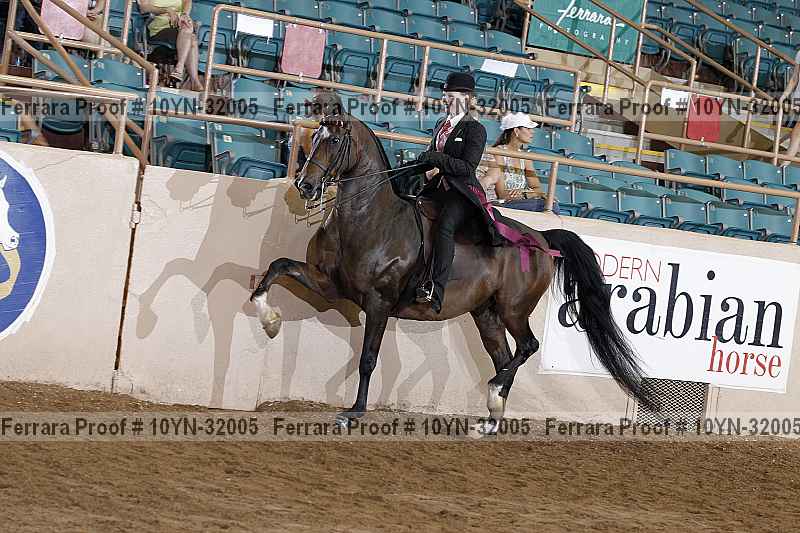 Proof Number 10yn-32005