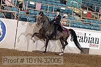 10yn-32005 thumbnail
