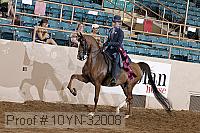 10yn-32008 thumbnail