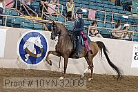 10yn-32009 thumbnail