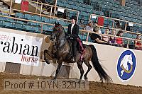 10yn-32011 thumbnail