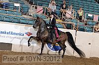 10yn-32012 thumbnail