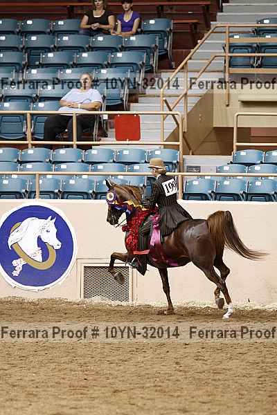 Proof Number 10yn-32014