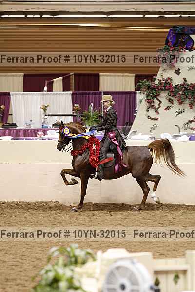 Proof Number 10yn-32015