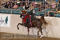 10yn-32022 thumbnail