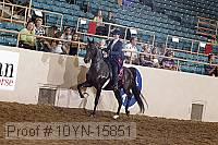 10yn-15851 thumbnail