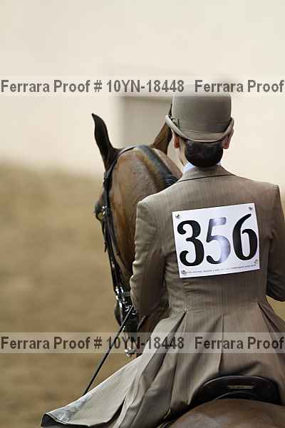 Proof Number 10yn-18448