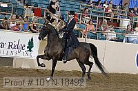 10yn-18492 thumbnail
