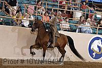 10yn-18495 thumbnail
