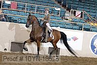 10yn-18525 thumbnail
