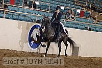 10yn-18541 thumbnail