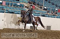 10yn-18543 thumbnail