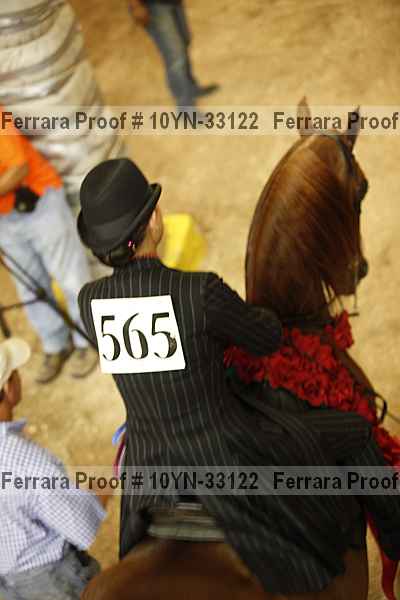 Proof Number 10yn-33122