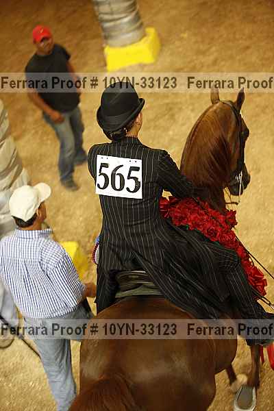Proof Number 10yn-33123