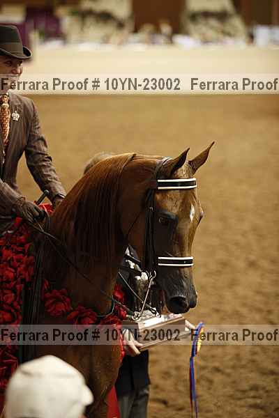 Proof Number 10yn-23002