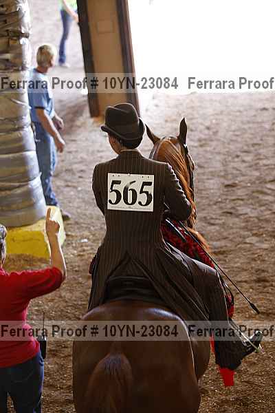 Proof Number 10yn-23084