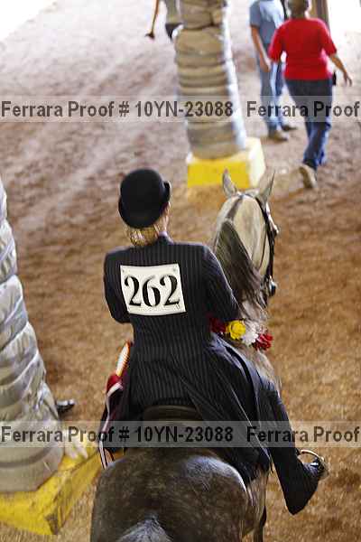 Proof Number 10yn-23088
