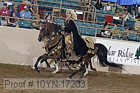 10yn-17203 thumbnail