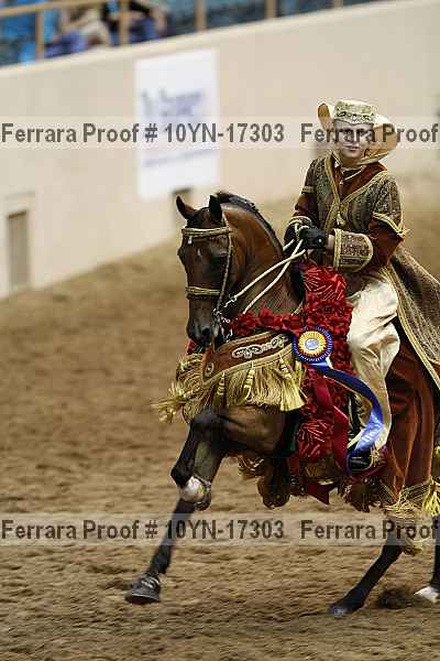 Proof Number 10yn-17303