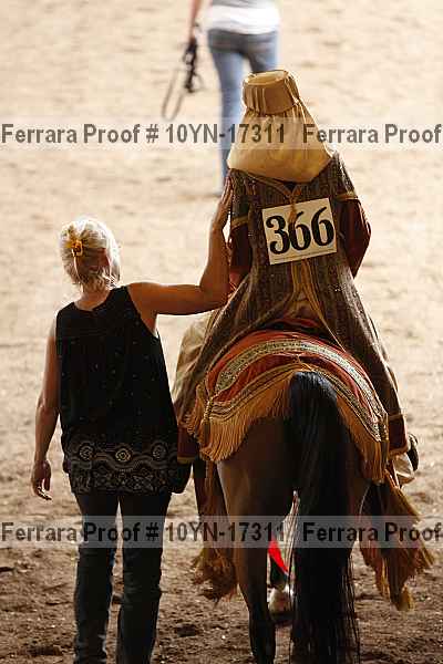 Proof Number 10yn-17311