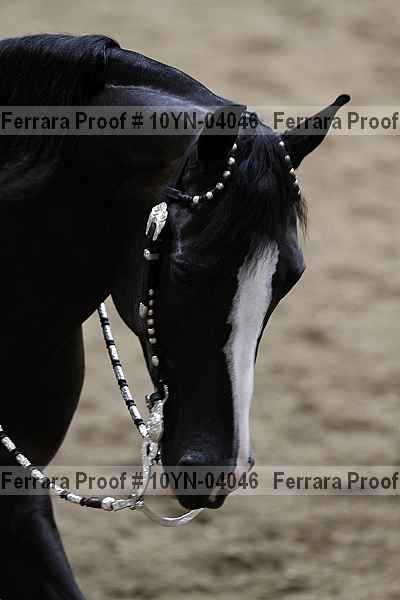 Proof Number 10yn-04046