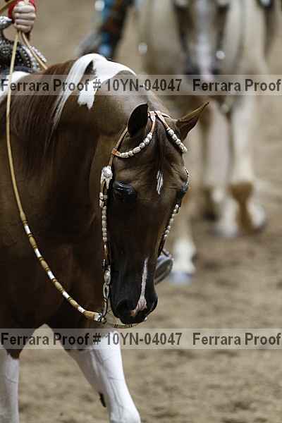 Proof Number 10yn-04047