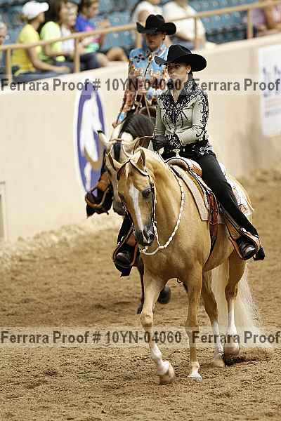 Proof Number 10yn-04060