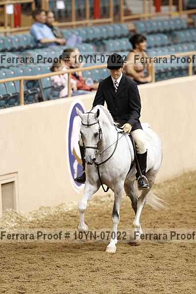 Proof Number 10yn-07022