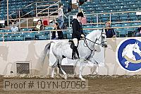 10yn-07056 thumbnail