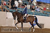 10yn-29093 thumbnail