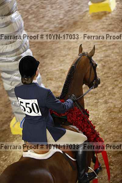 Proof Number 10yn-17033