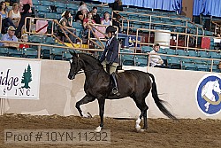 10yn-11282 thumbnail
