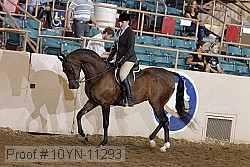 10yn-11293 thumbnail
