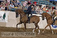 10yn-20544 thumbnail