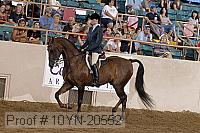 10yn-20552 thumbnail