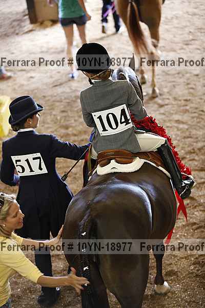 Proof Number 10yn-18977